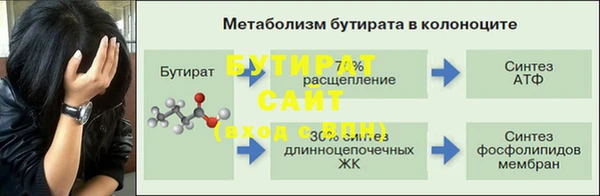 гидра Богородицк